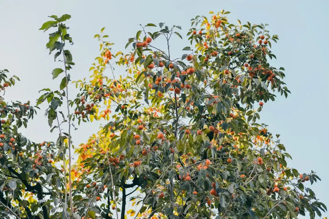 Ptak siedzący na gałęzi drzewa w zdrowym, ekologicznym sadzie