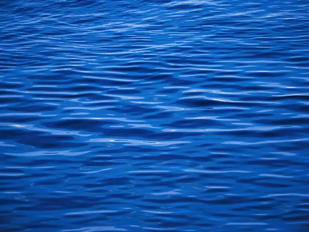 a body of water with ripples