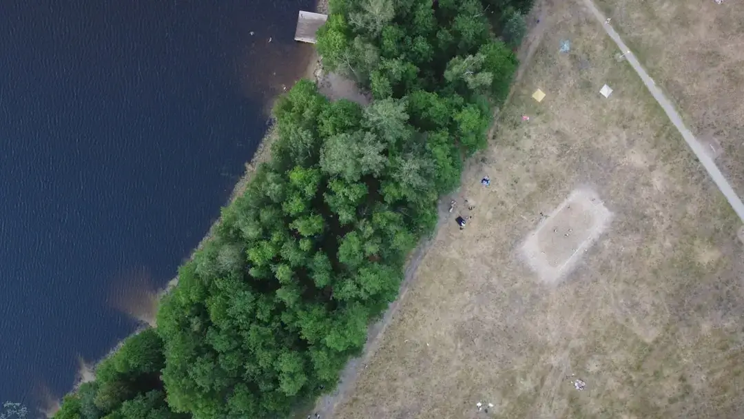 A high-angle bird's eye view of a dense green forest with thousands of lush tree canopies.