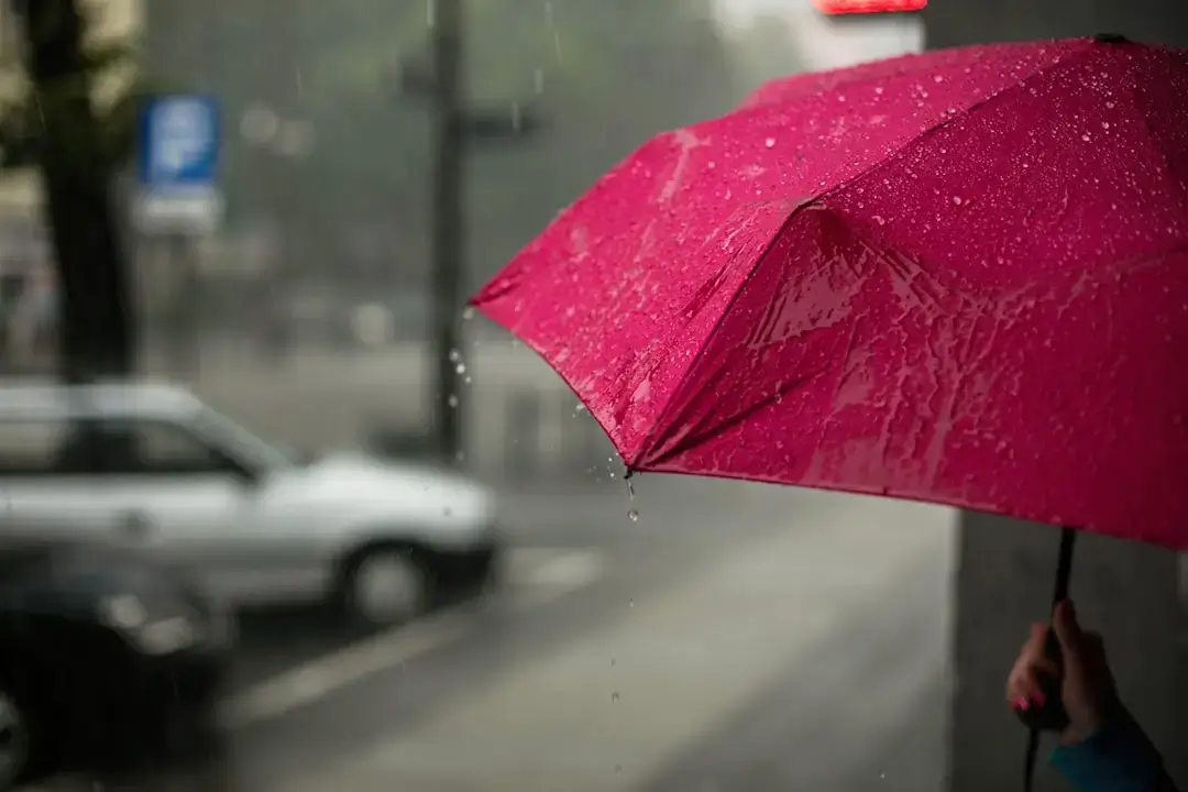 A discarded and broken black umbrella lying on a wet pavement, illustrating urban waste and environmental impact.