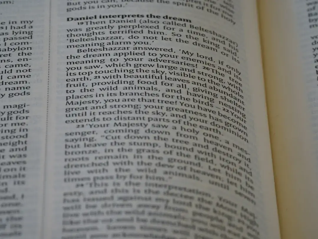 a close up of an open book with words on it