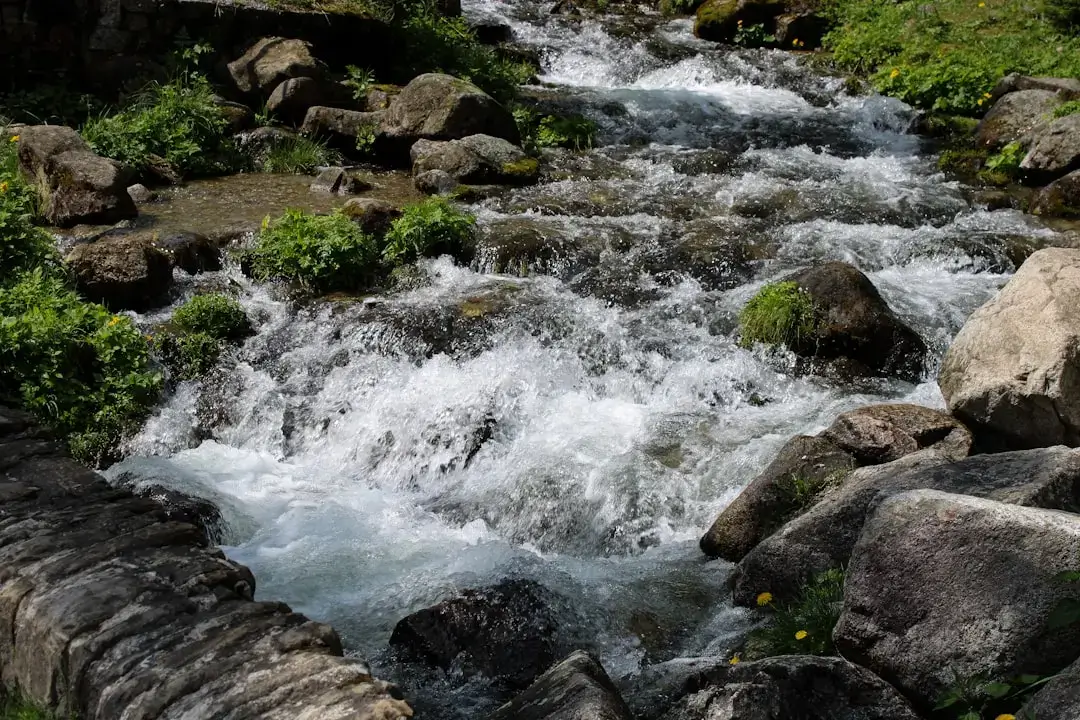 A clean and clear water stream flowing over smooth stones in a lush green forest setting.