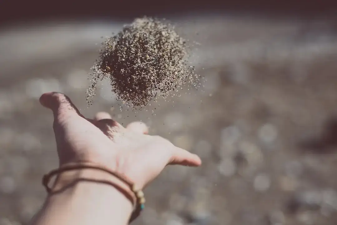 A small green seedling growing out of dark soil held gently in human hands to represent Earth Day and environmental ecology.