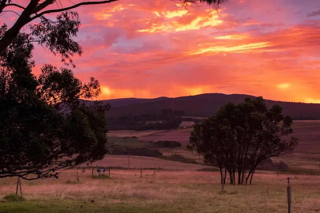 A beautiful lush green organic eco-farm glowing under a golden sunset sky.