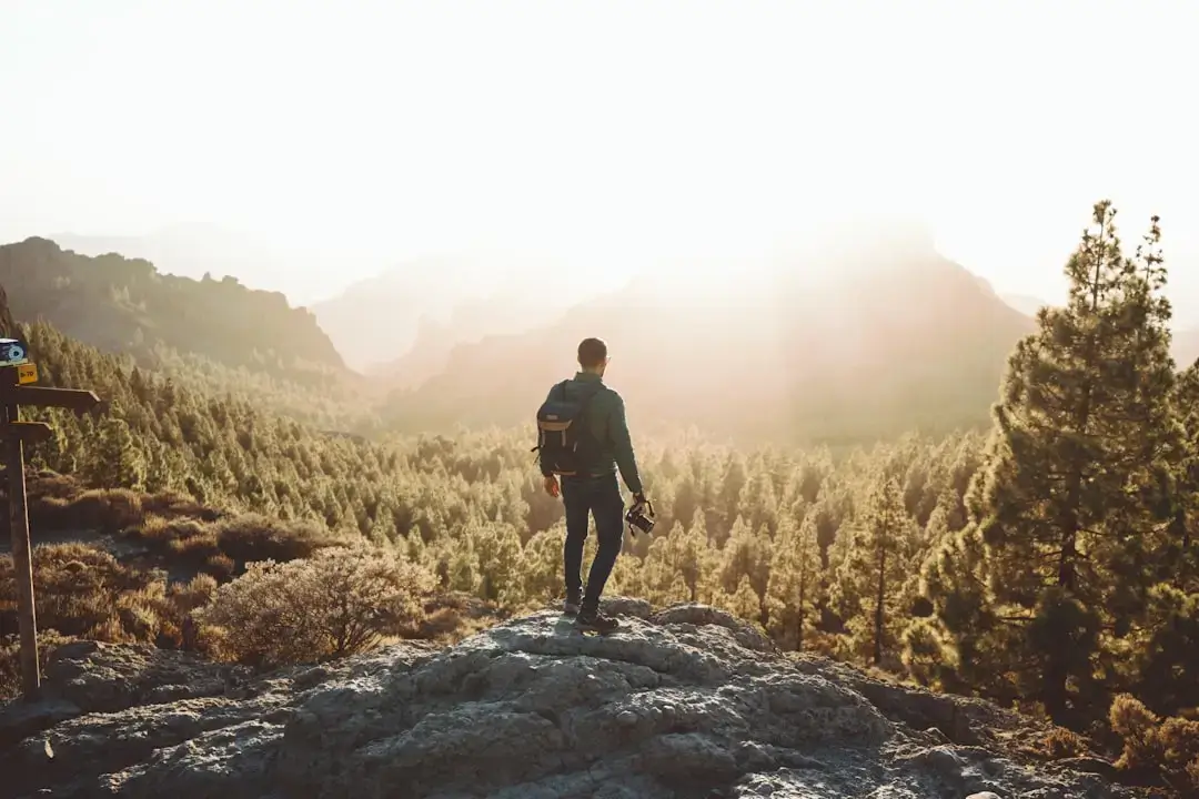 An eco-friendly traveler with sustainable gear hiking on a lush green mountain trail during a sunny day.