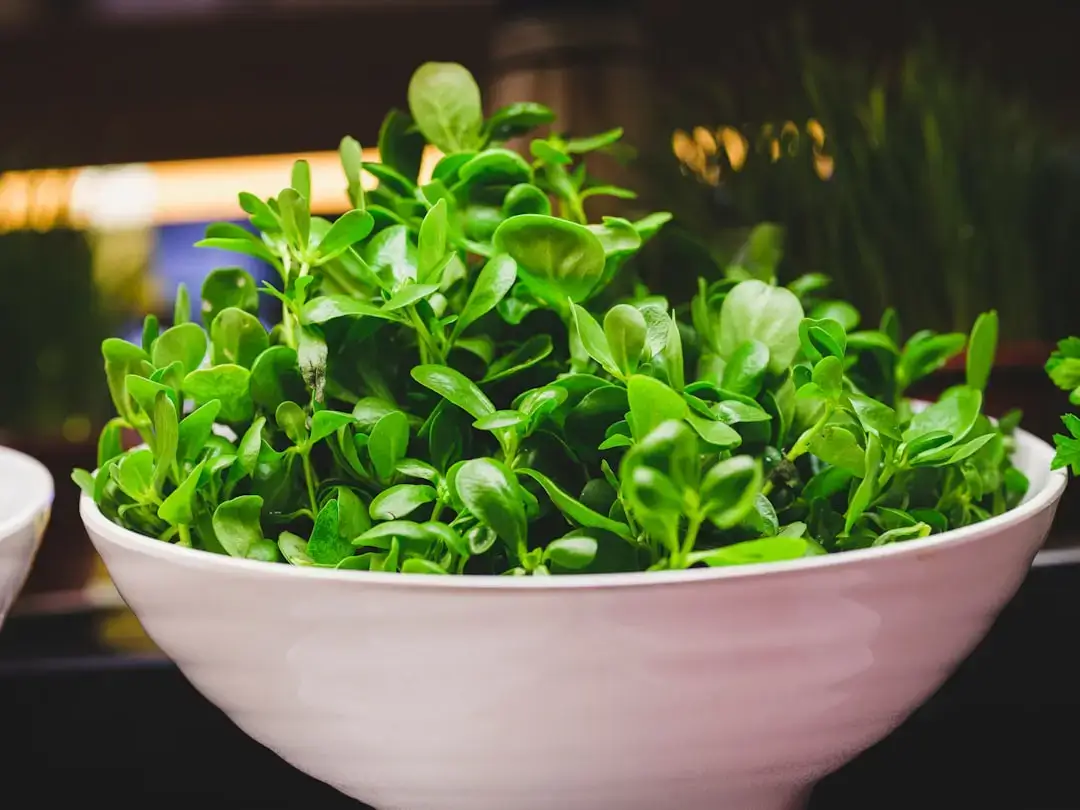 A fresh bunch of green arugula leaves placed on a kitchen counter next to culinary tools.