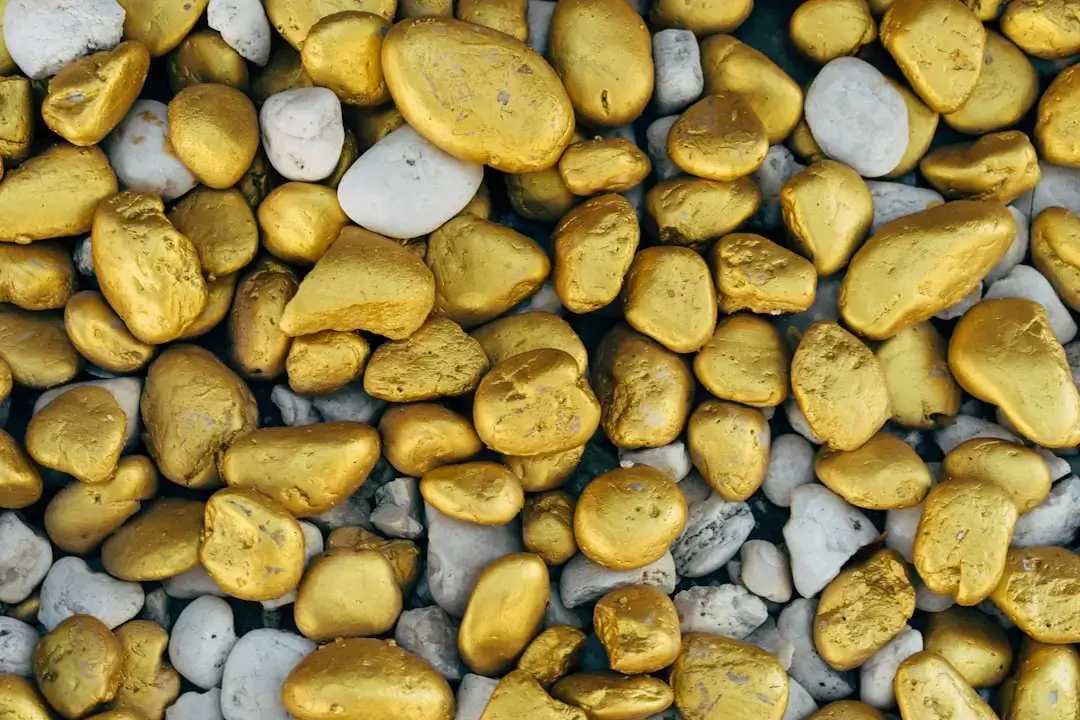 Close-up of shiny gold coins tucked between pine branches as festive Christmas tree ornaments.