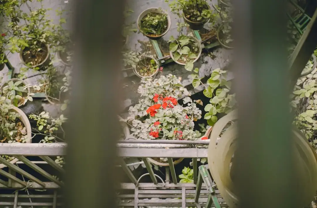 A vibrant assortment of potted green plants and herbs arranged beautifully on a sunny apartment balcony