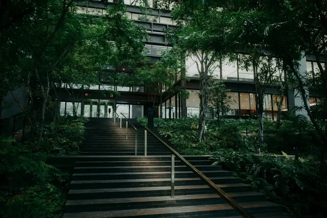 Un espacio de oficina moderno y luminoso con plantas de interior y elementos de diseño sostenible para un ambiente ecológico.