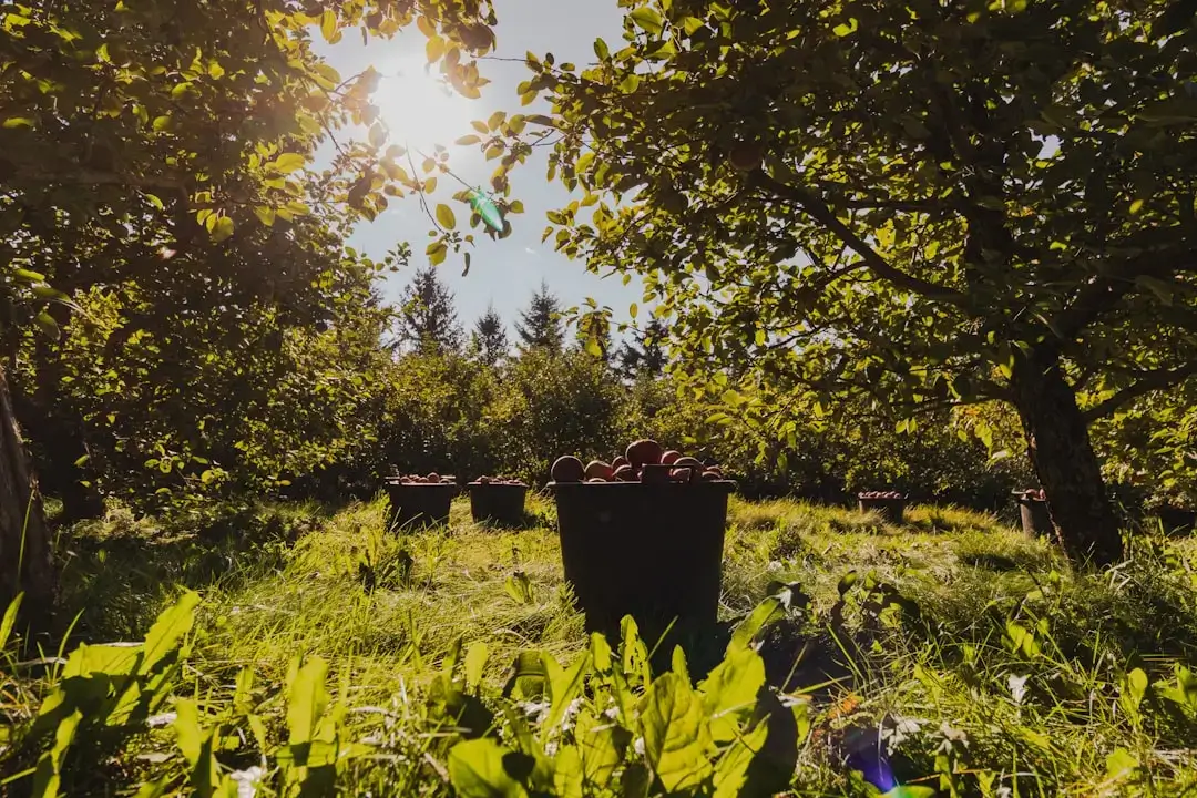 A sleek modern garden compost bin standing in a lush green backyard for sustainable organic waste management.