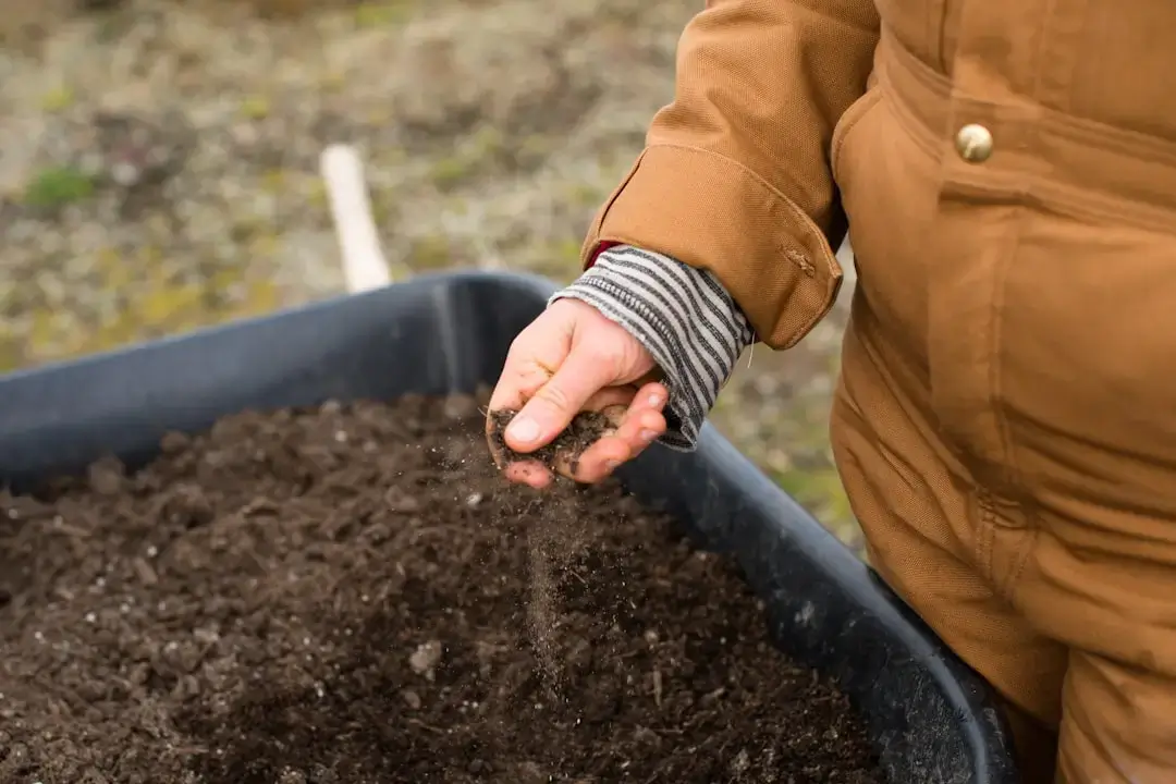 Close-up of healthy dark organic soil being held in hands, representing sustainable farming practices.
