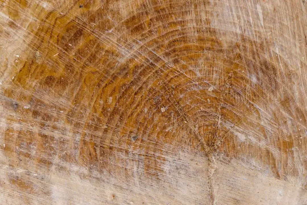 A clean, top-down view of parallel sorted wooden planks showing natural grain and texture.