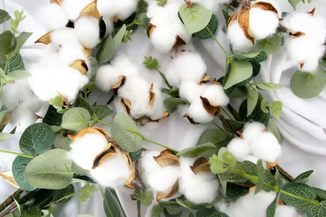 Ein weiches und nachhaltiges Plüschtier aus Bio-Baumwolle mit Naturfasern und umweltfreundlichen Texturen.