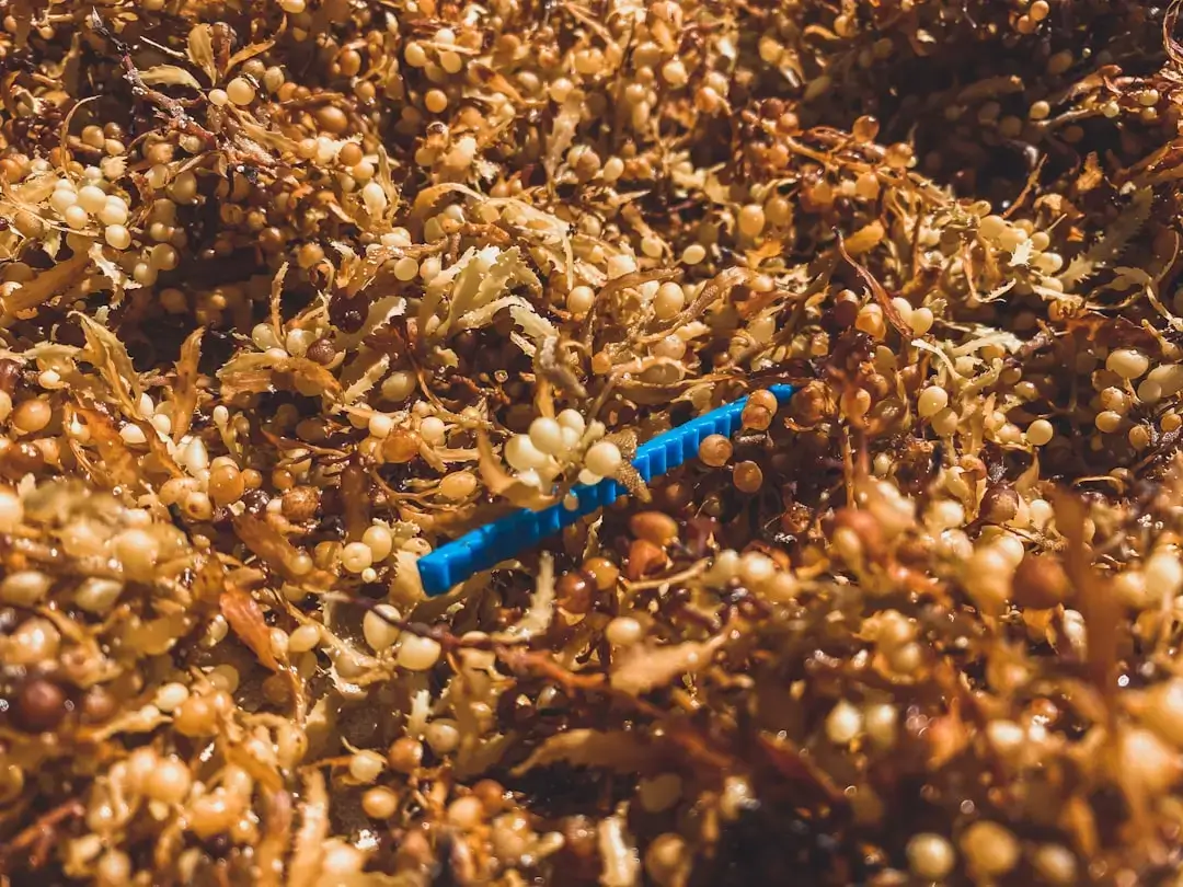 Discarded plastic bottles and waste floating in clear blue ocean water