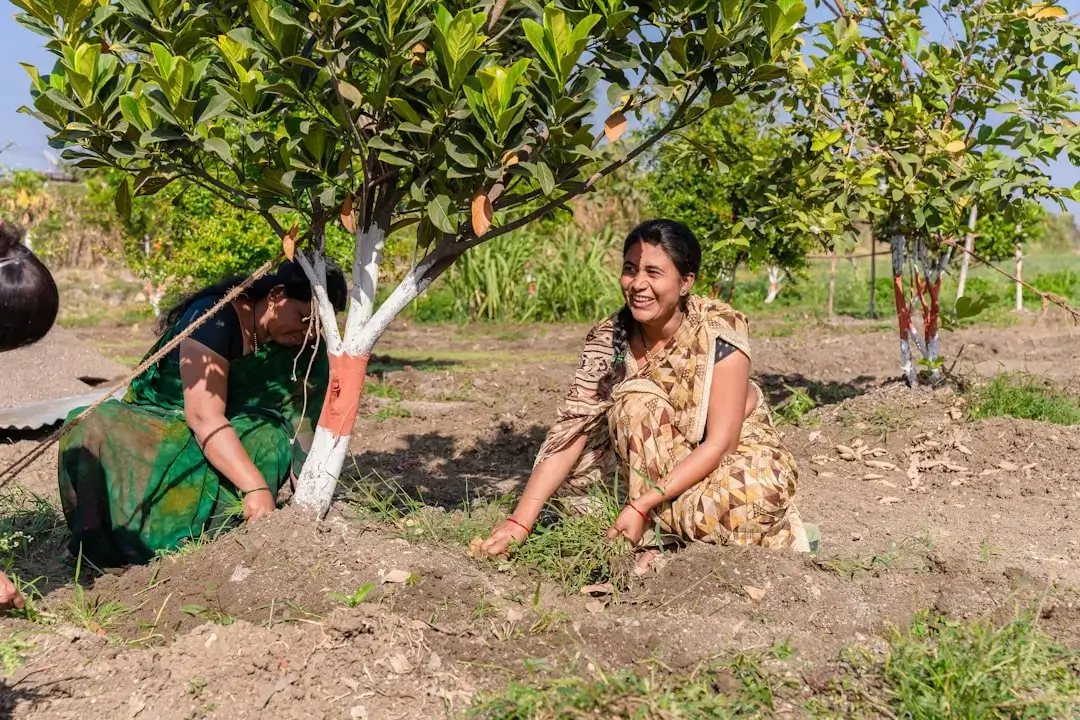 Primer plano de una persona plantando un joven brote de árbol verde en tierra rica para un proyecto de reforestación.