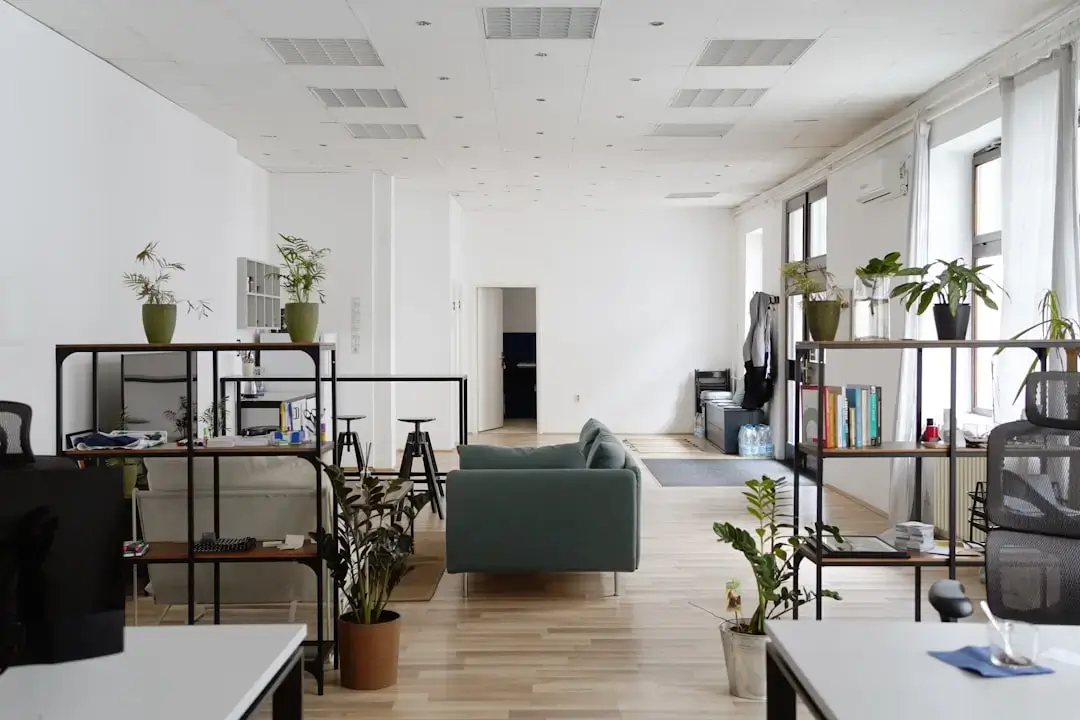 A person holding a small green plant in a bright modern office setting representing sustainable business growth.