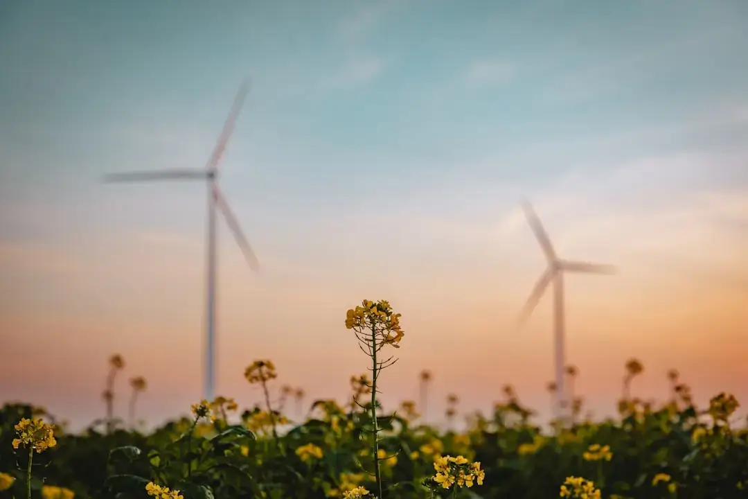 A vast field of solar panels and tall wind turbines under a clear blue sky representing clean renewable energy.