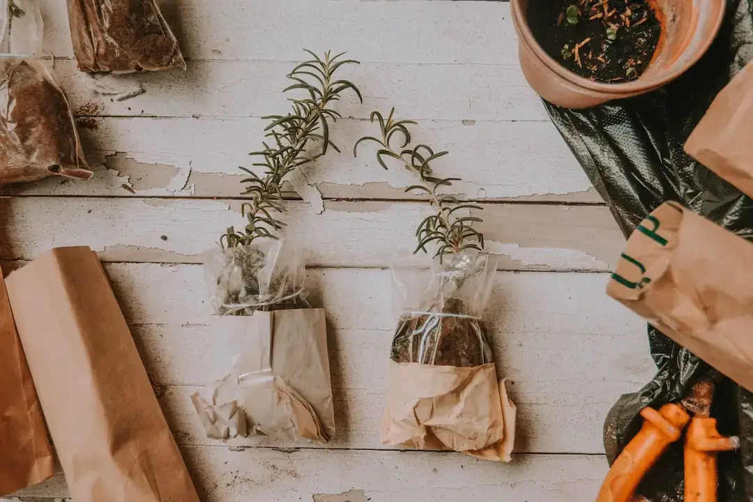 A collection of reusable glass containers and sustainable household items representing a commitment to refusing single-use plastic.