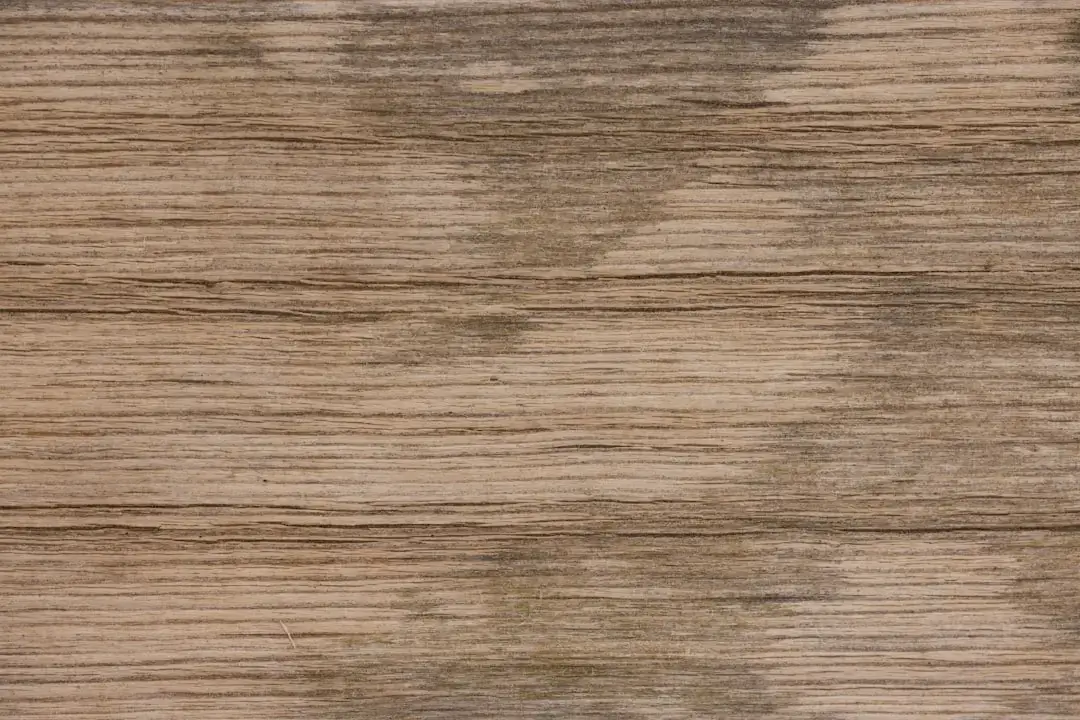 Close-up macro view of natural wooden cellulose fiber texture highlighting organic patterns and material details