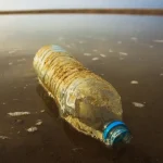clear plastic bottle in body of water