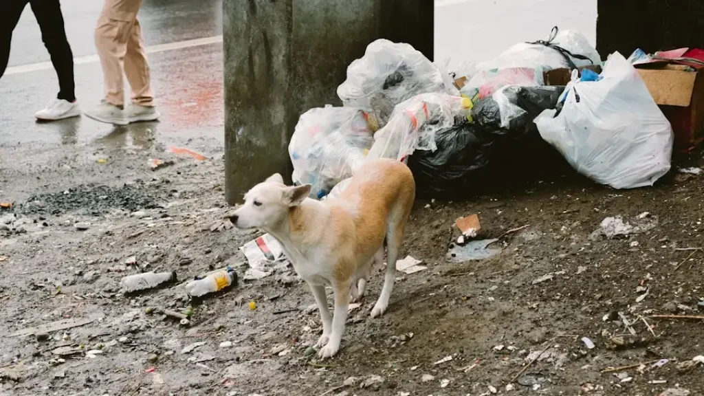 A dog standing next to a pile of garbage
