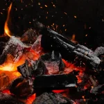 Wypalanie traw to przeżytek: Dlaczego warto postawić na żyzną ziemię zamiast ognia