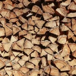 Ścinka i obalanie drzew bez tajemnic: Jak mądrze zarządzać surowcem drzewnym