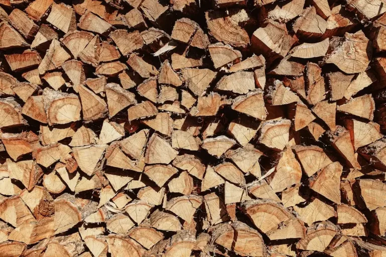 brown and black firewood lot