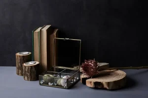 Styl ekologiczny wnętrza: Jak stworzyć dom, który oddycha naturą?