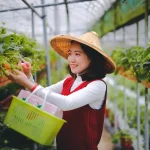 Żywność ekologiczna – wady i zalety: Kompleksowy przewodnik dla świadomego konsumenta