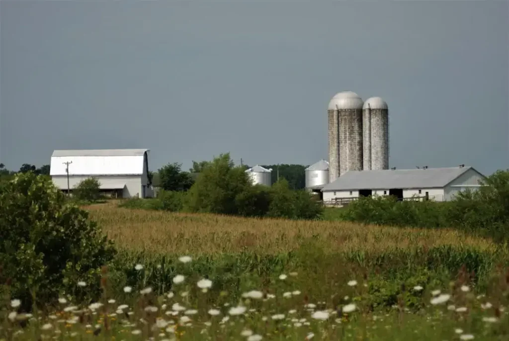 white and brown concrete towers on green grass field under gray sky