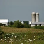 white and brown concrete towers on green grass field under gray sky