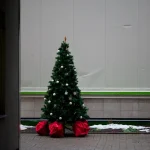 A small christmas tree sitting on top of a sidewalk