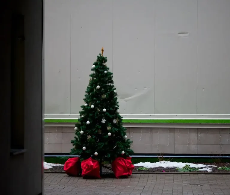 A small christmas tree sitting on top of a sidewalk