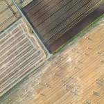 Niezwykłe rodzaje biomasy: Jak natura zasila naszą przyszłość bez ściemy i eco-shamingu