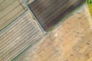 Niezwykłe rodzaje biomasy: Jak natura zasila naszą przyszłość bez ściemy i eco-shamingu