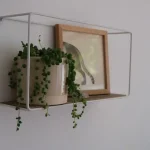 green plant in white ceramic pot