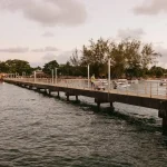 Rower z bambusa: Kompletny poradnik i właściwości [2026]