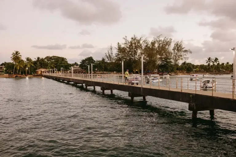 A long pier extends over the water towards trees.