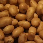 A pile of fresh, small, golden potatoes