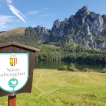 Pomniki przyrody w Polsce: Kompletny przewodnik [2026]