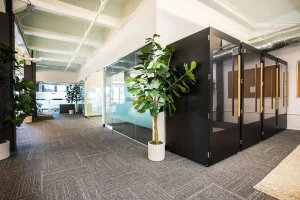 Symbol biodegradowalny: Co oznacza? Kompletny przewodnik [2026]