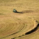 Frakcja bio: co to jest i co do niej wrzucać? [Poradnik 2026]