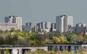 Co to jest ekologia? Wszystko, co musisz wiedzieć [2026]