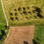 an aerial view of a farm field with trees
