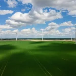 green grass field under blue sky and white clouds during daytime