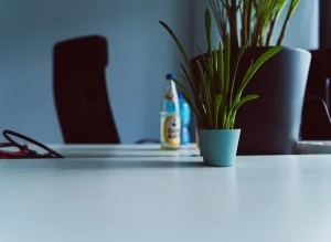 green potted plant on white table