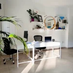Modern office space with plants and desk