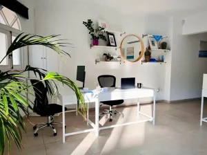 Modern office space with plants and desk