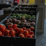 Organiczny – co to znaczy? Kompleksowy poradnik [2026]